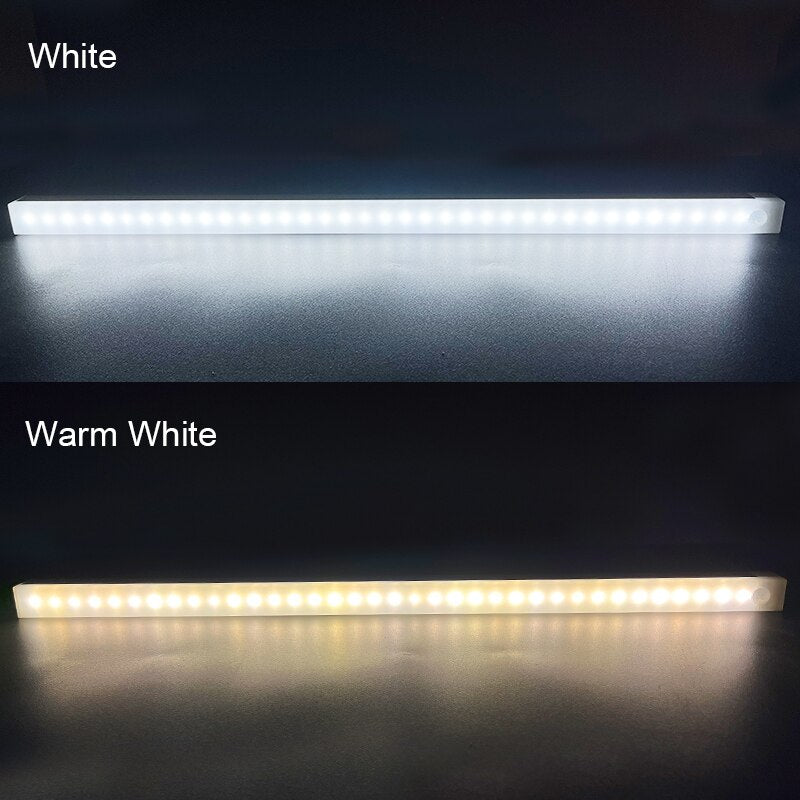 LuminaSense™ Motion Sensor Light